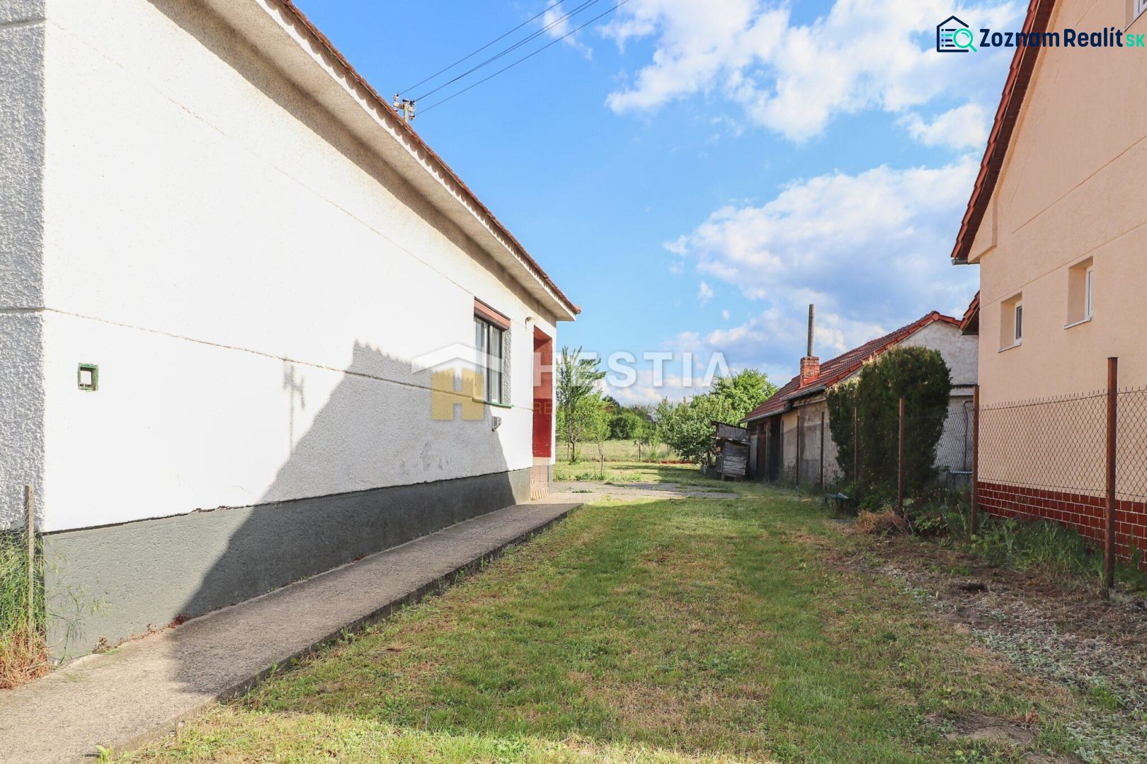 Fotografia 7
