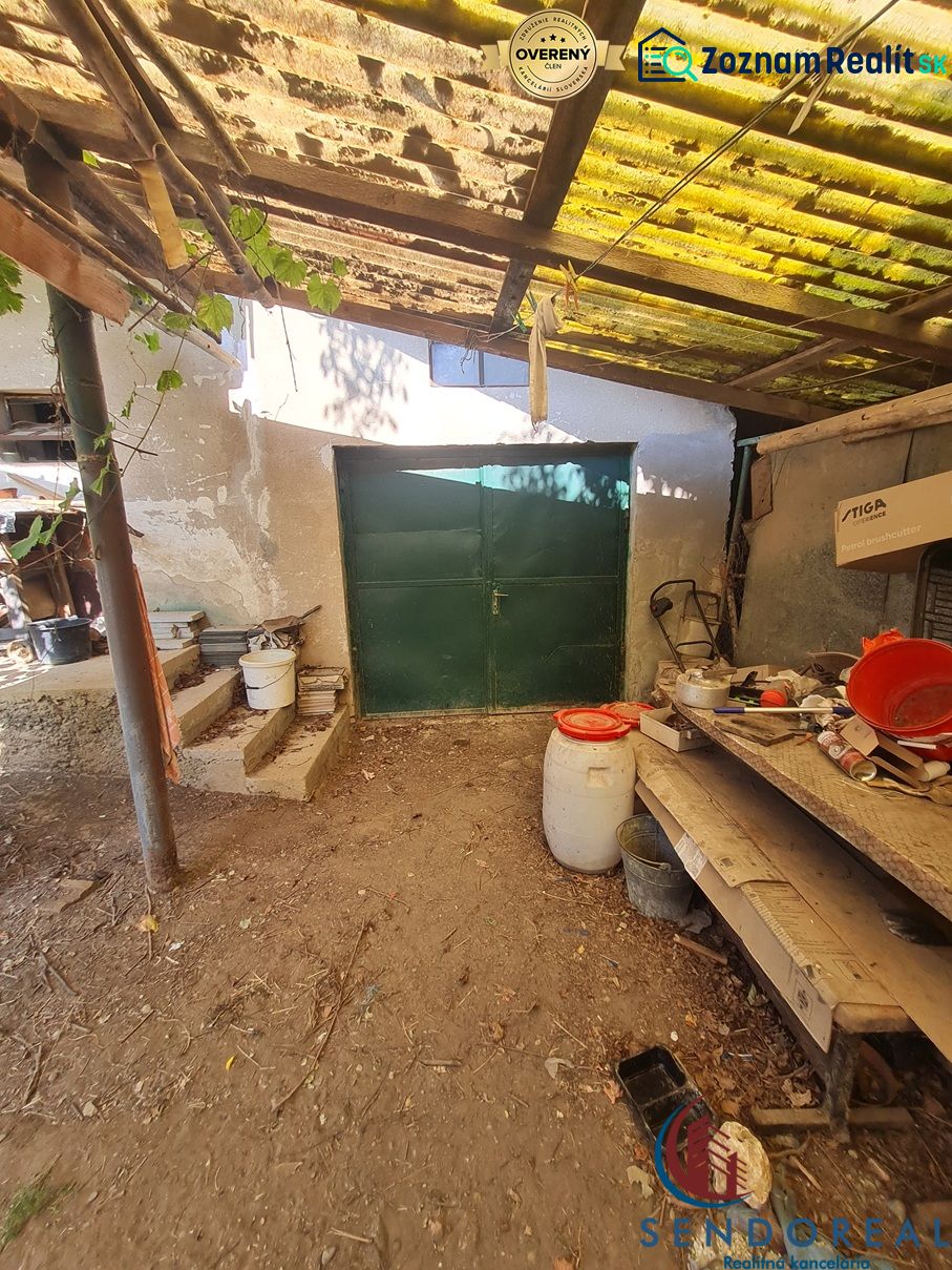 Fotografia 6