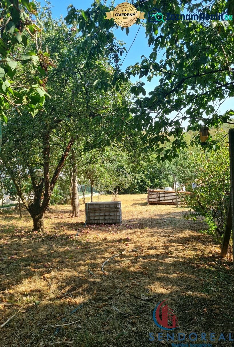 Fotografia 8
