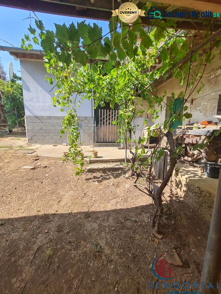 Fotografia 5
