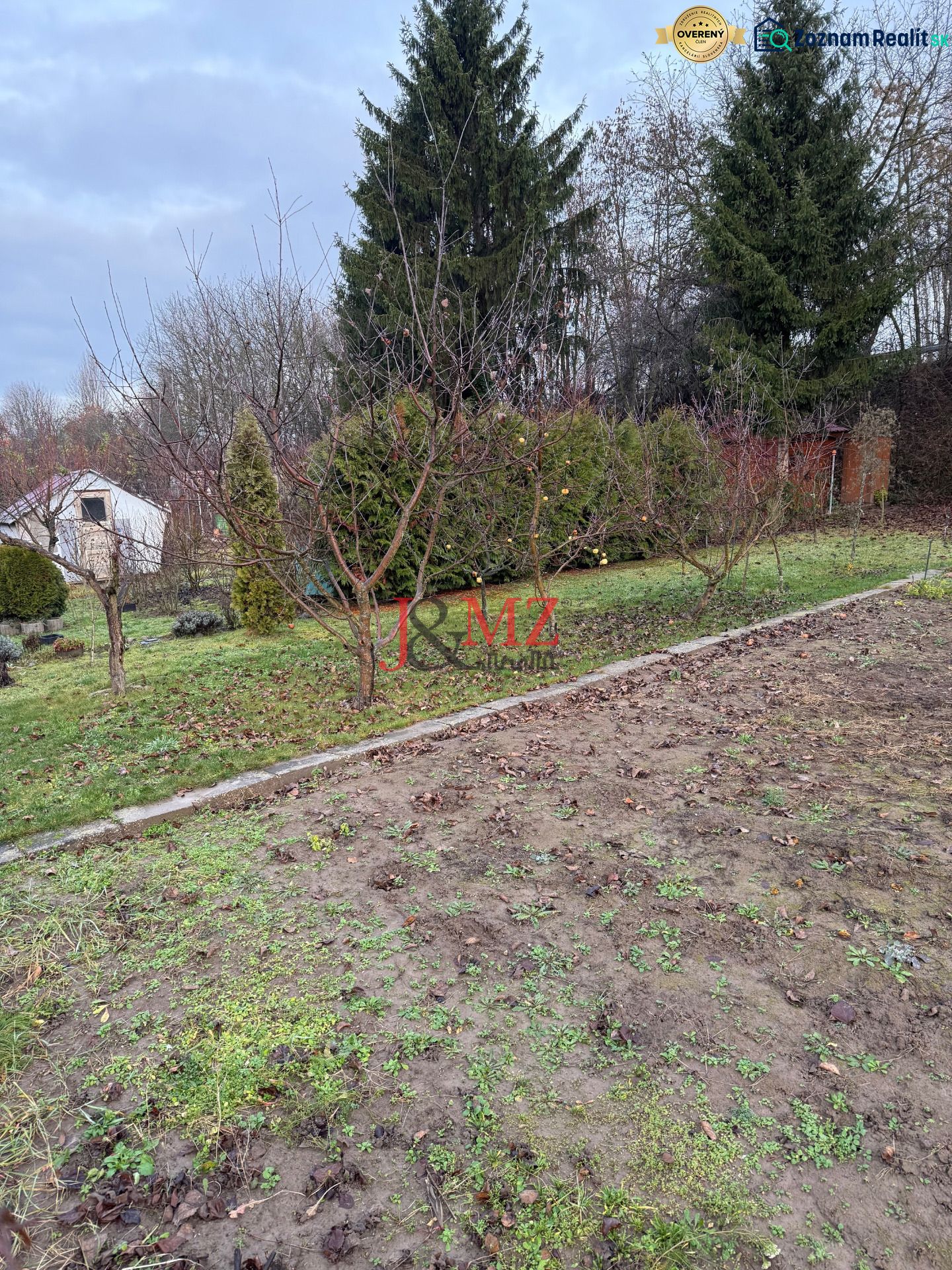 Záhrada Levice - Podhradie 311m2 - Záhrada na Podhradí v Leviciach s ovocnými stromami a ihličnany. Jesenné lístie na zemi.