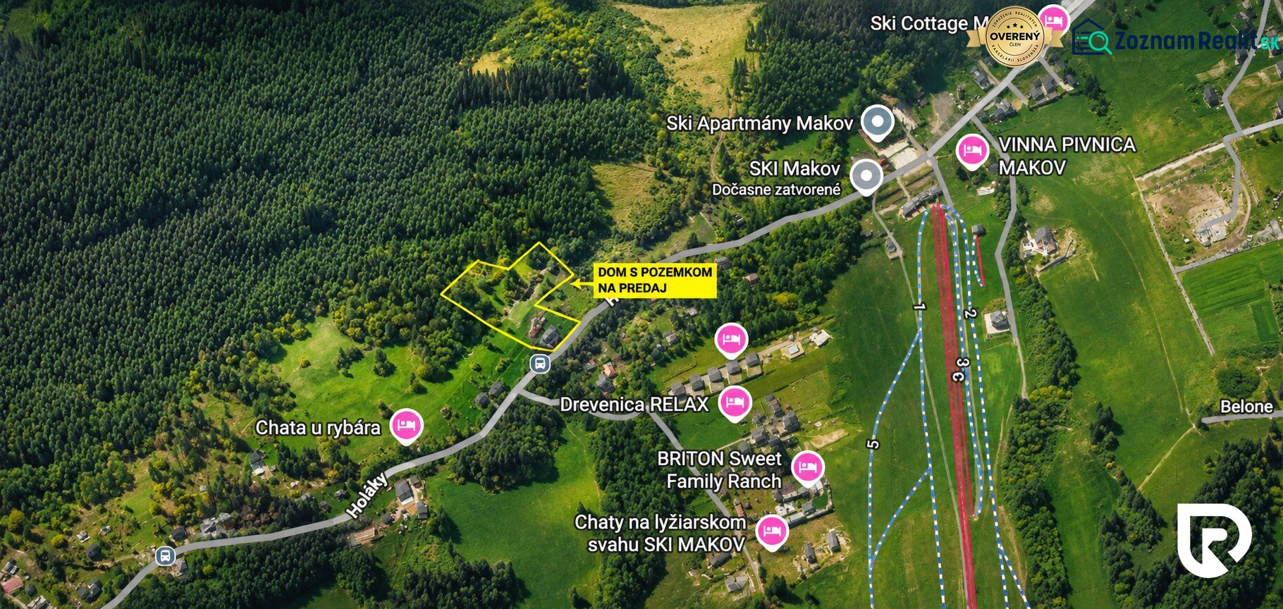 Fotografia 19
