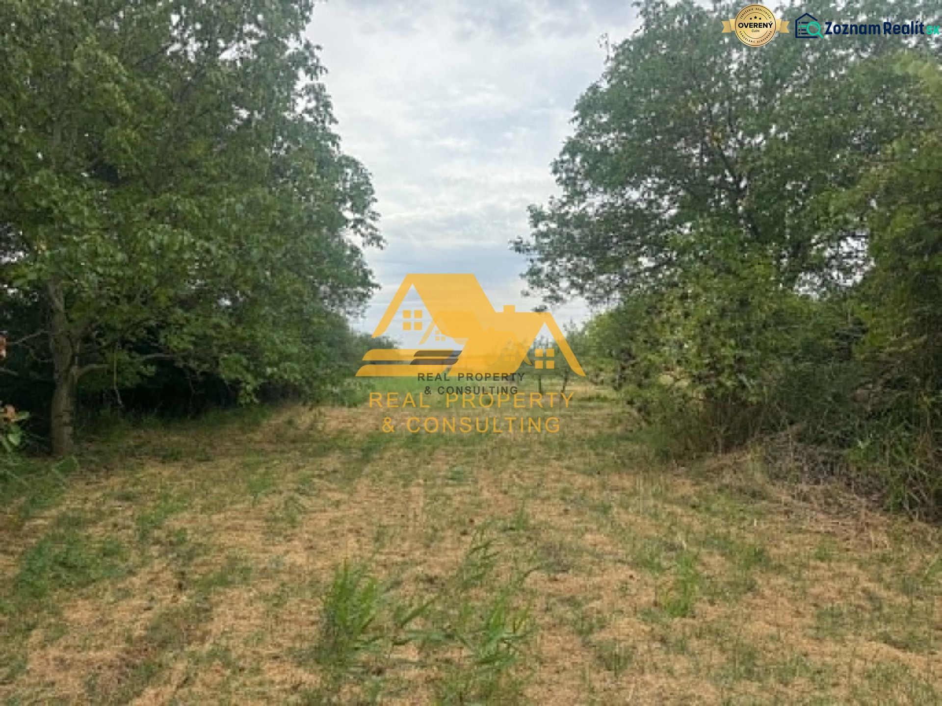 Fotografia 3