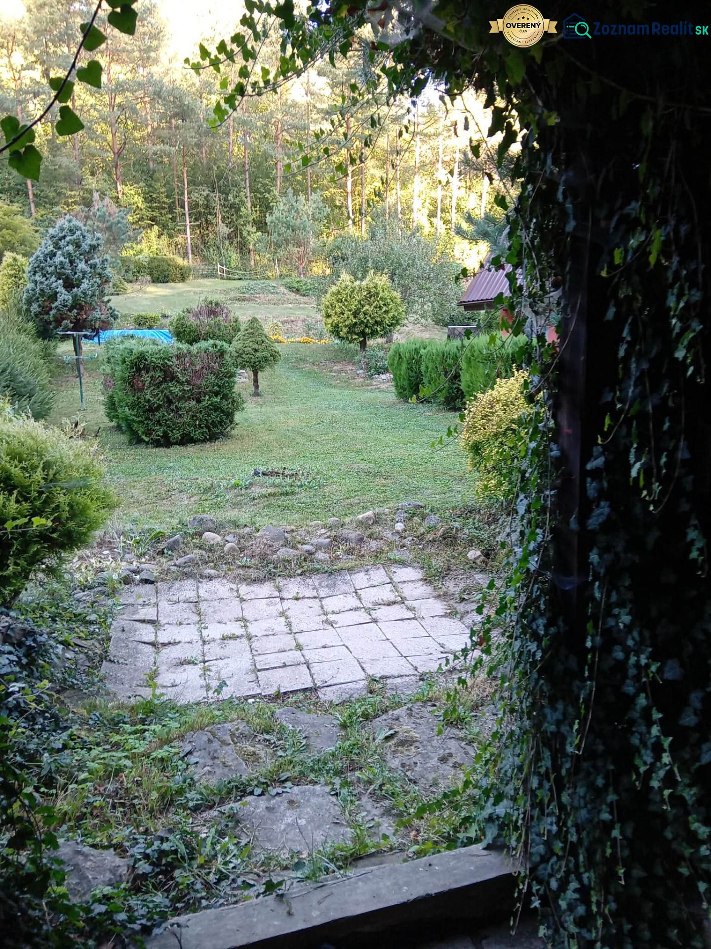 Fotografia 15