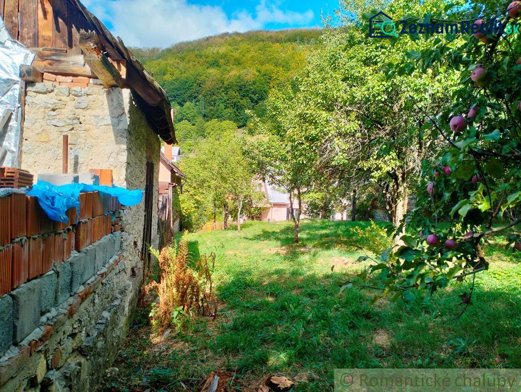 Fotografia 10