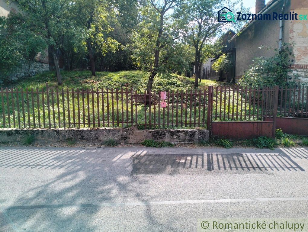 Fotografia 3