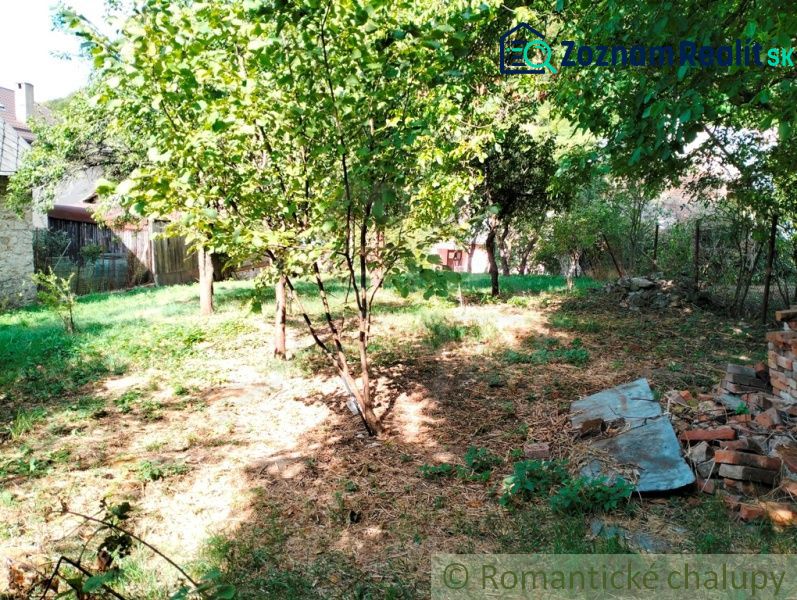 Fotografia 11