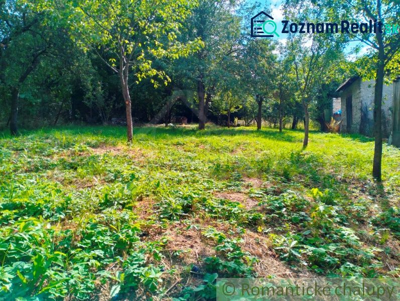 Fotografia 7