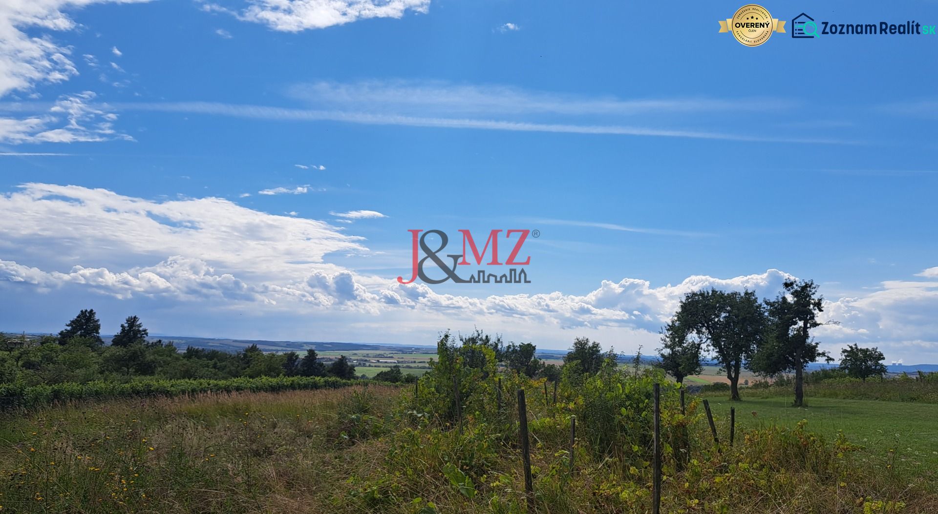 Fotografia 7