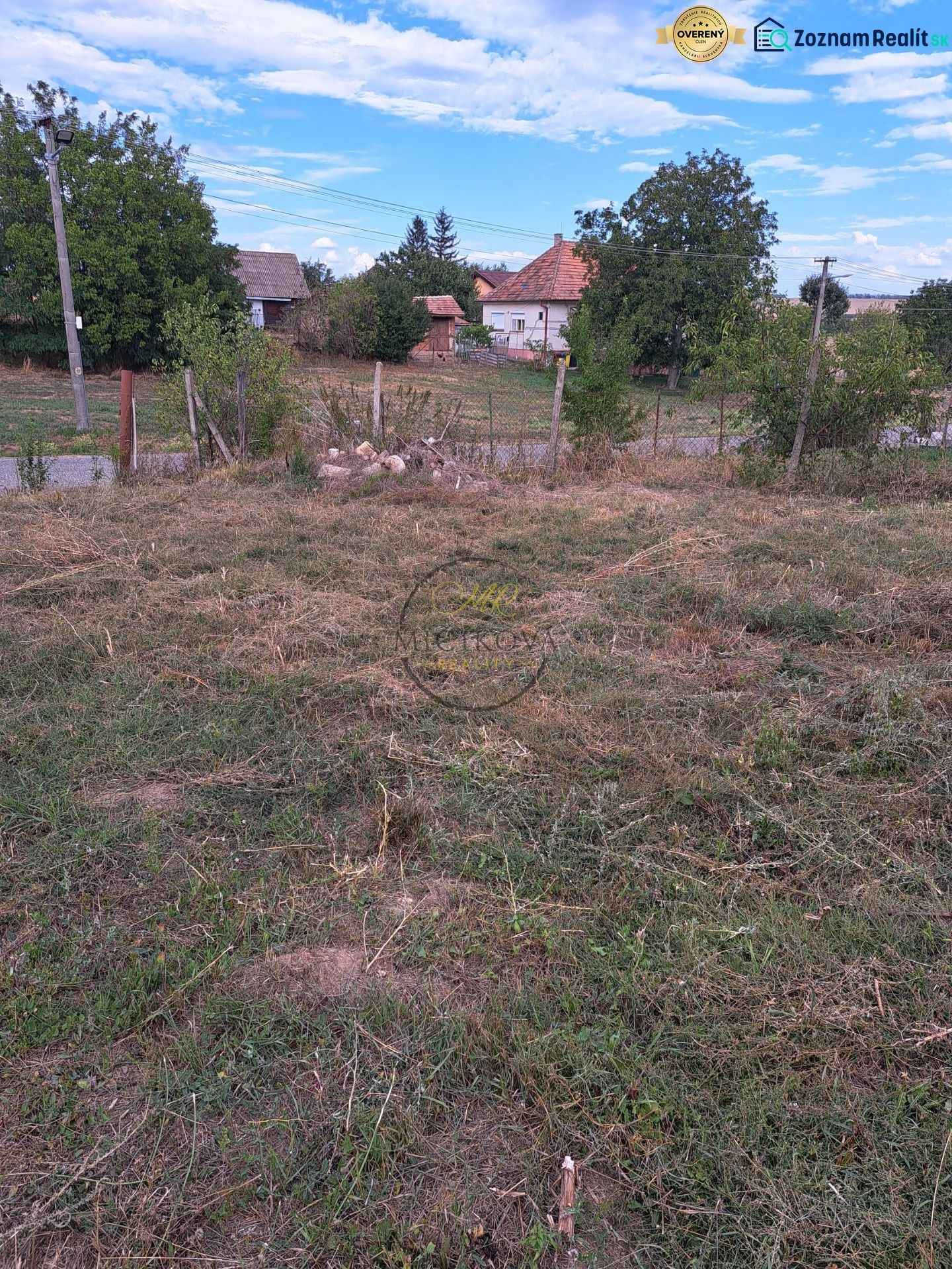 Fotografia 6
