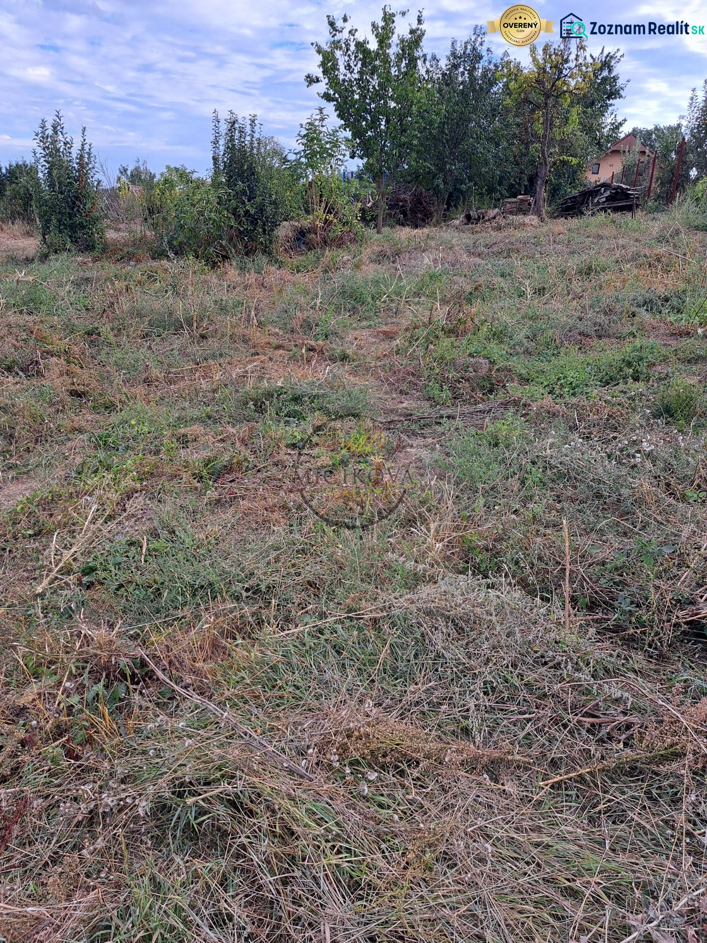 Fotografia 7
