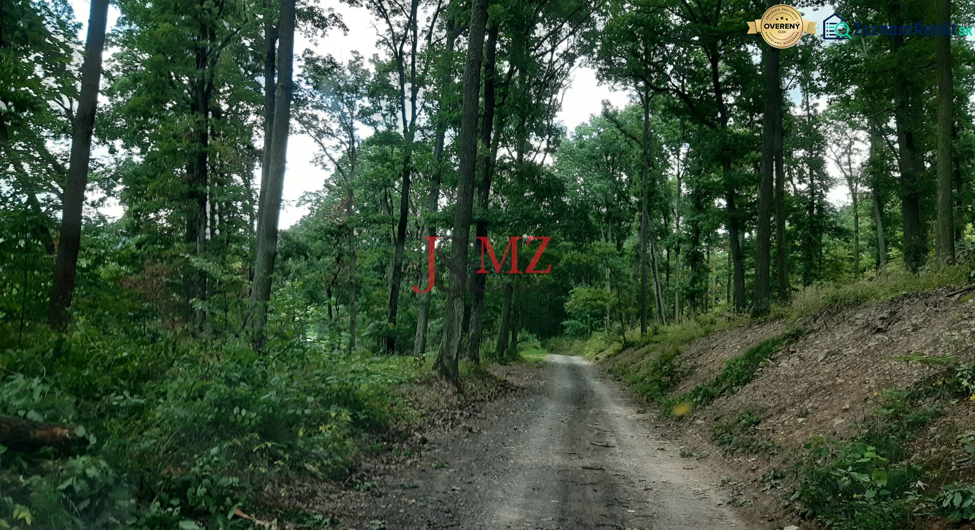 Fotografia 7