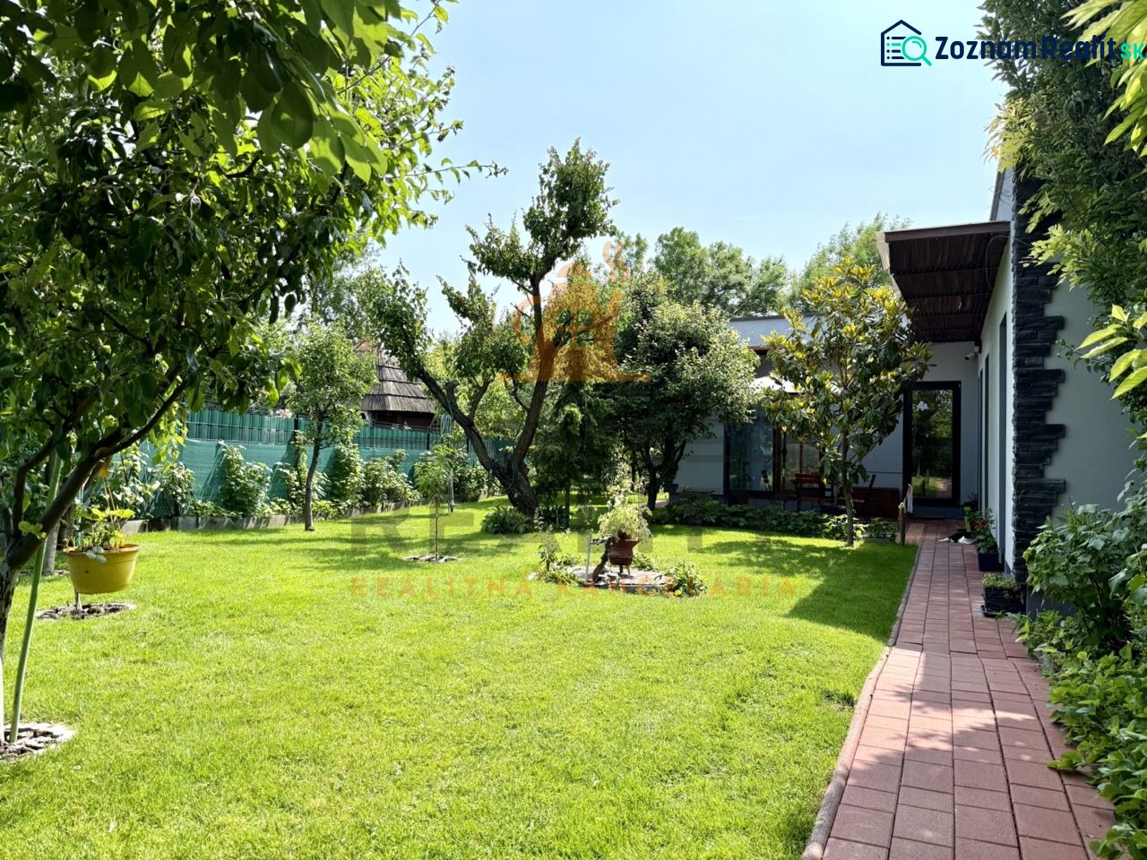 Fotografia 3