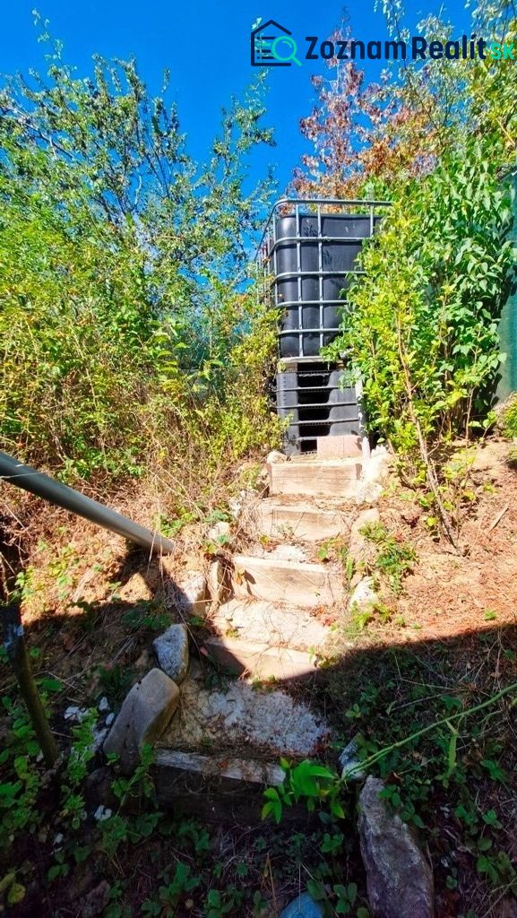 Fotografia 32