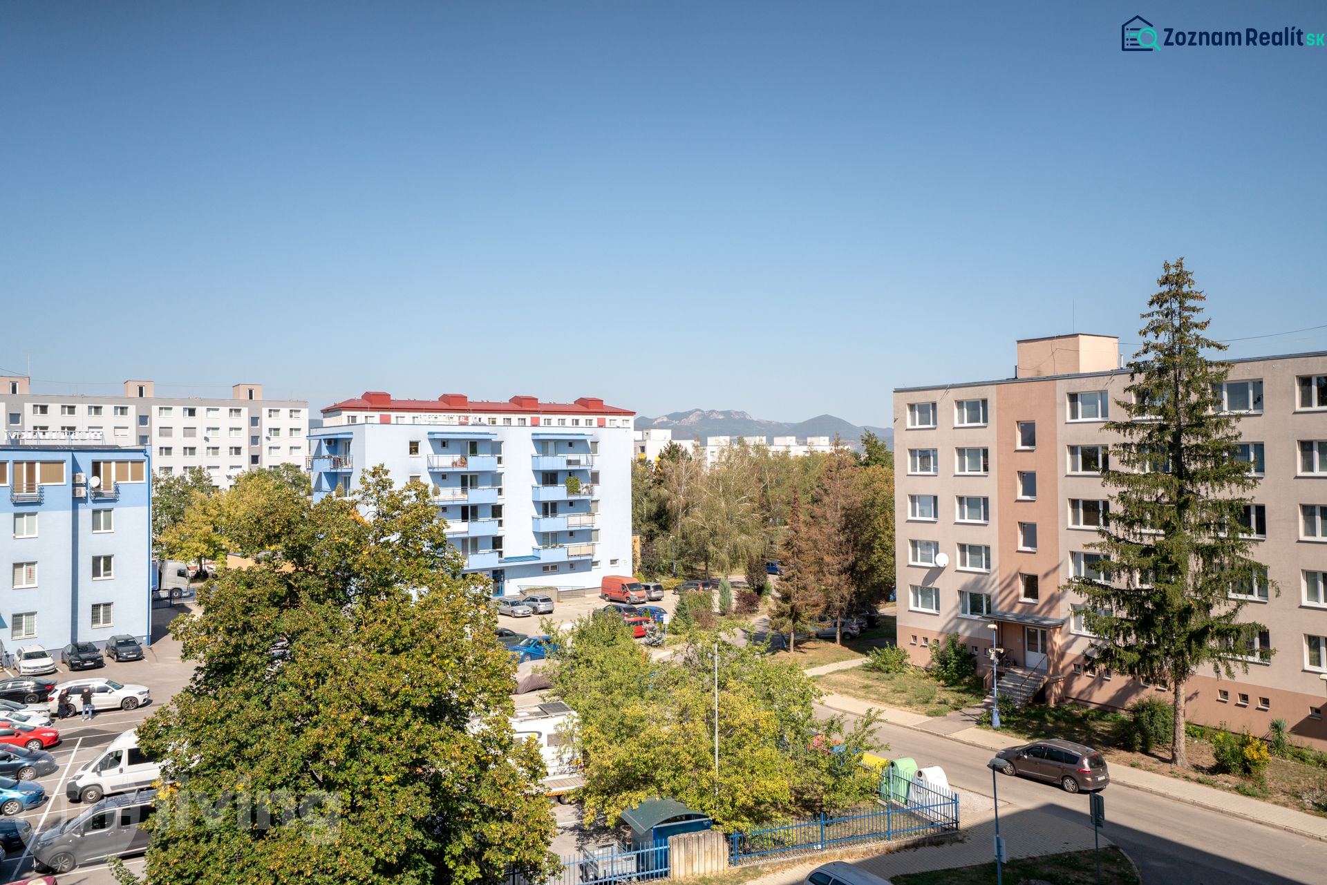 Fotografia 7