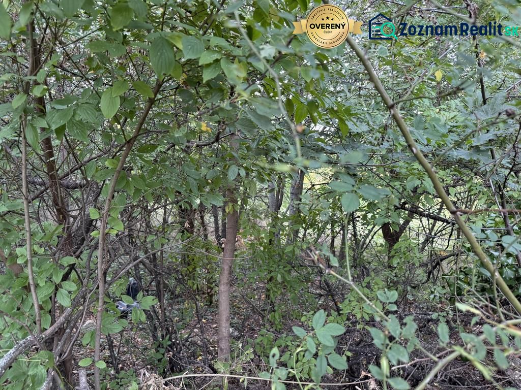 Fotografia 8