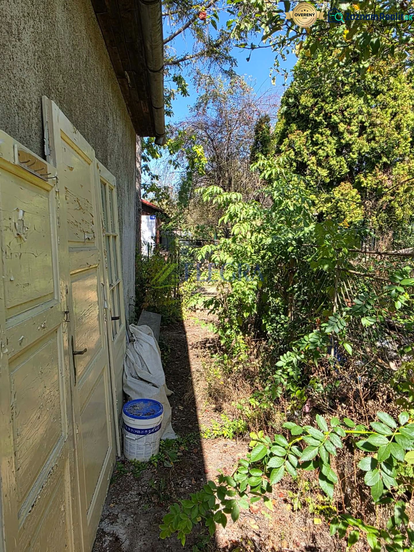 Fotografia 17