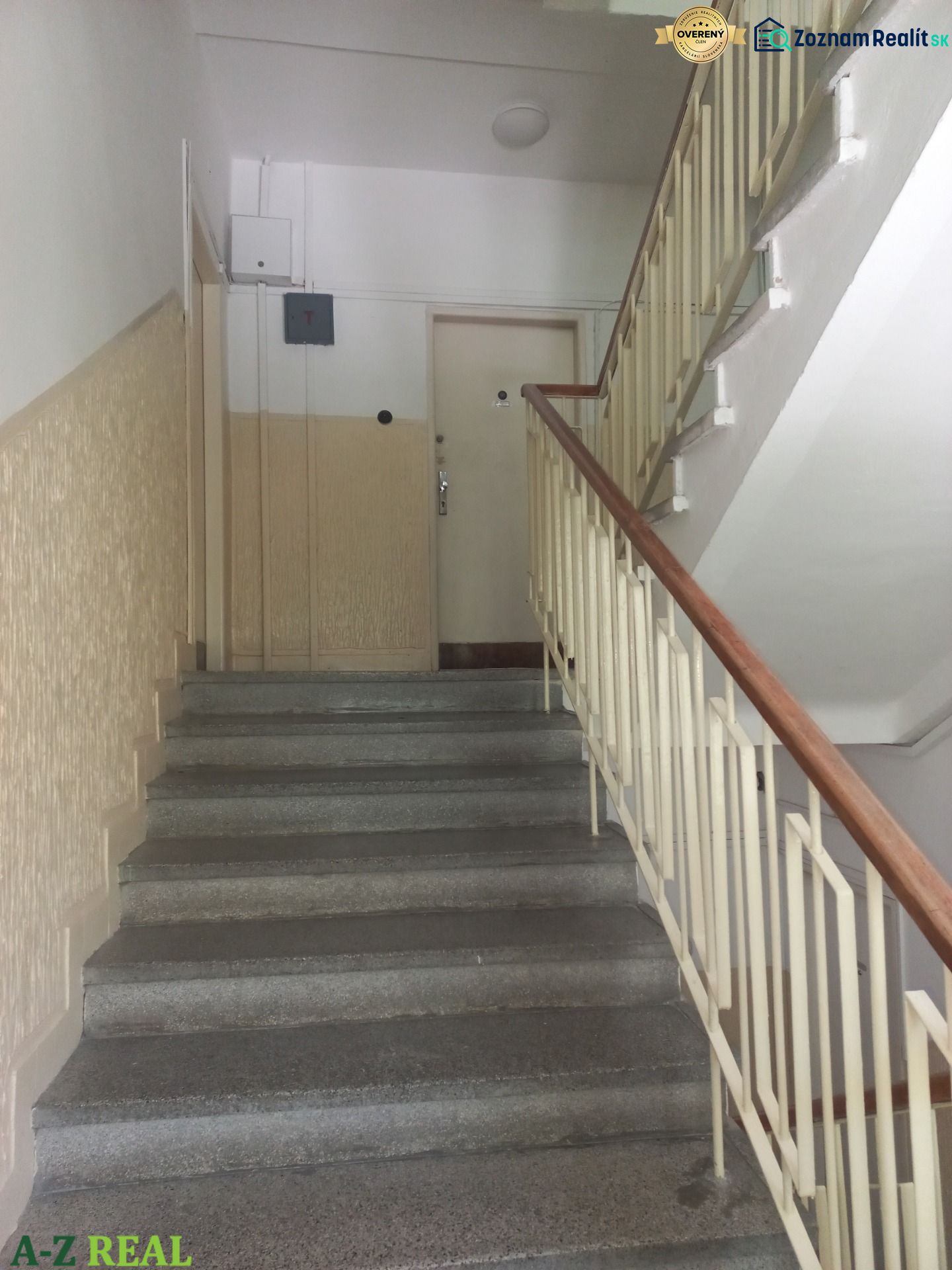 Fotografia 12