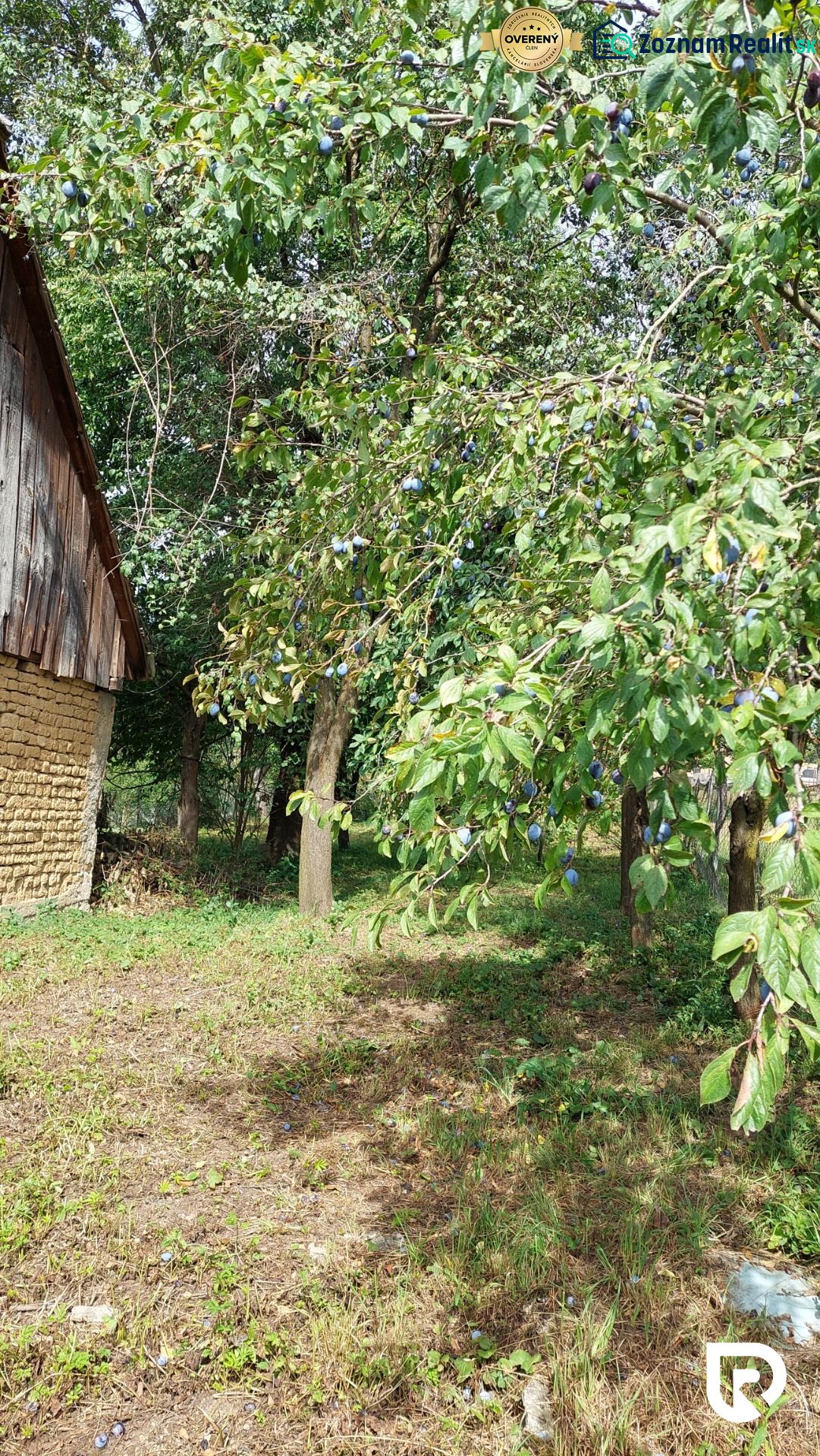 Fotografia 8