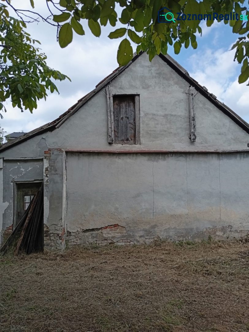 Fotografia 5