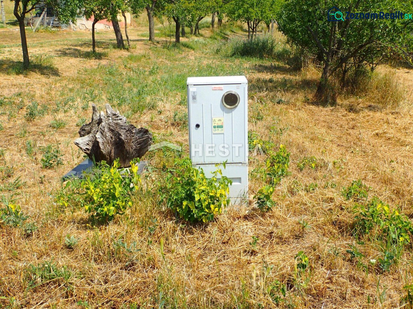 Fotografia 5