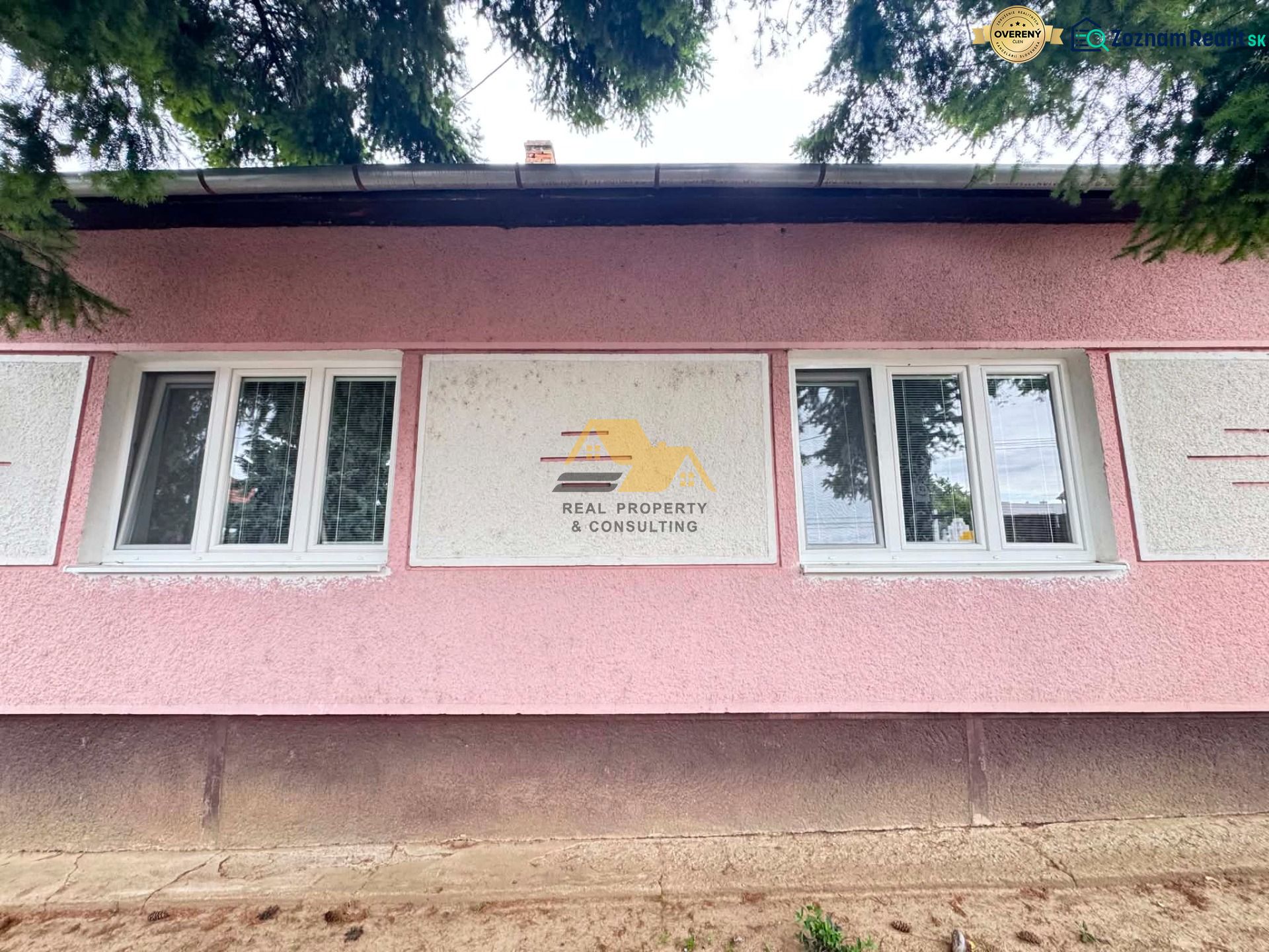 Fotografia 14