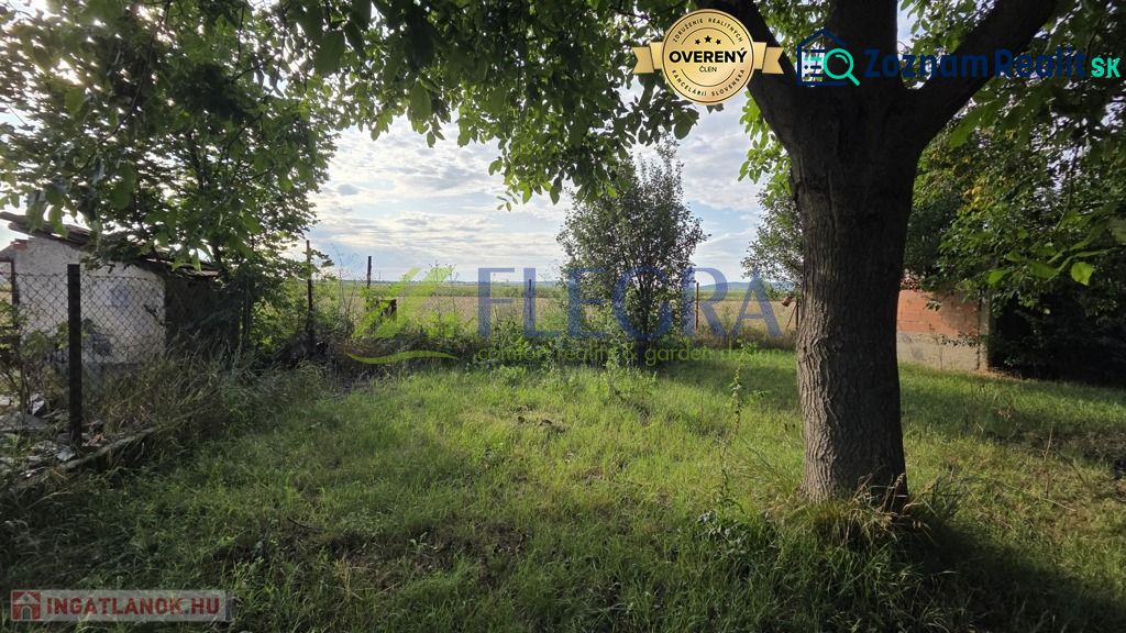 Fotografia 8