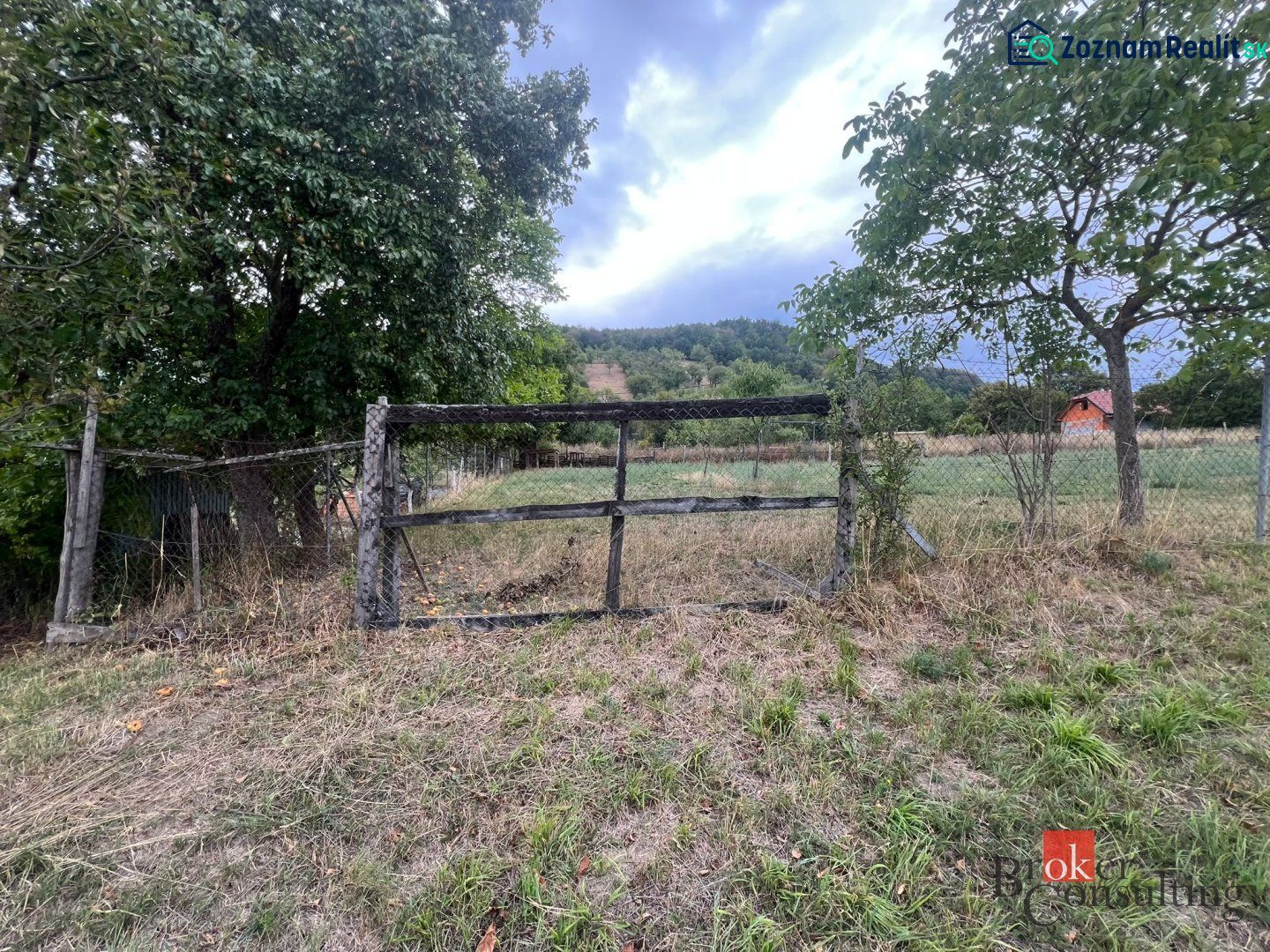 Fotografia 8
