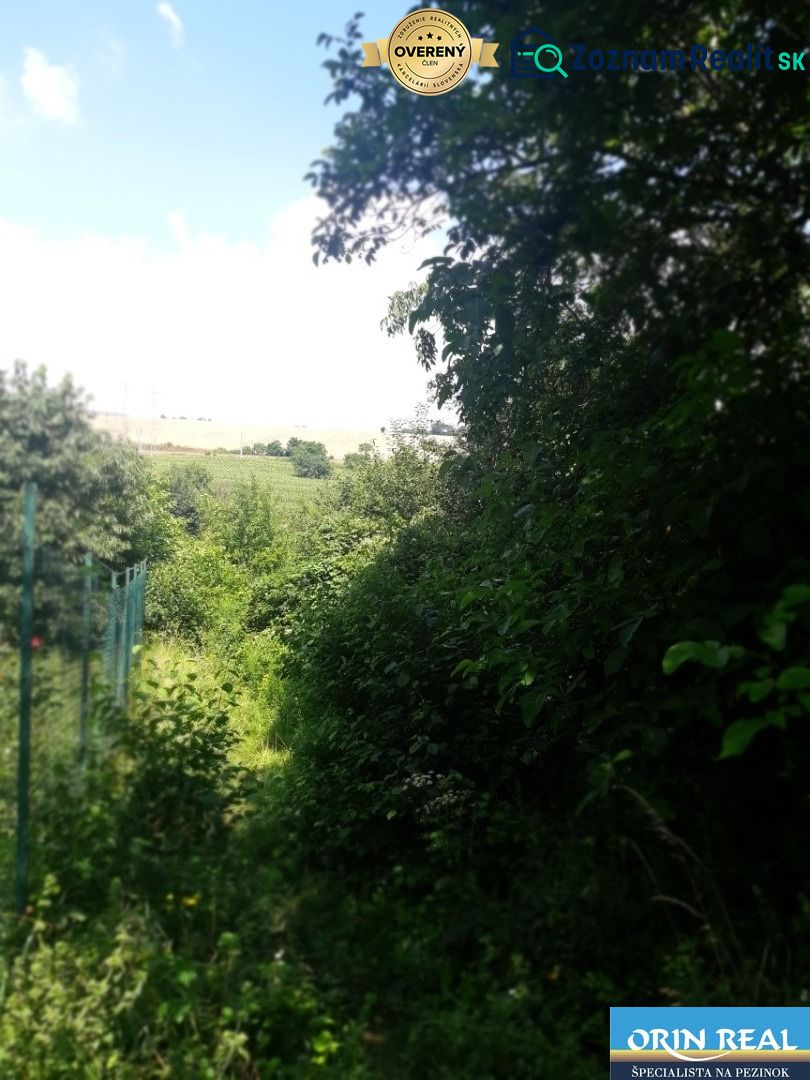 Fotografia 6