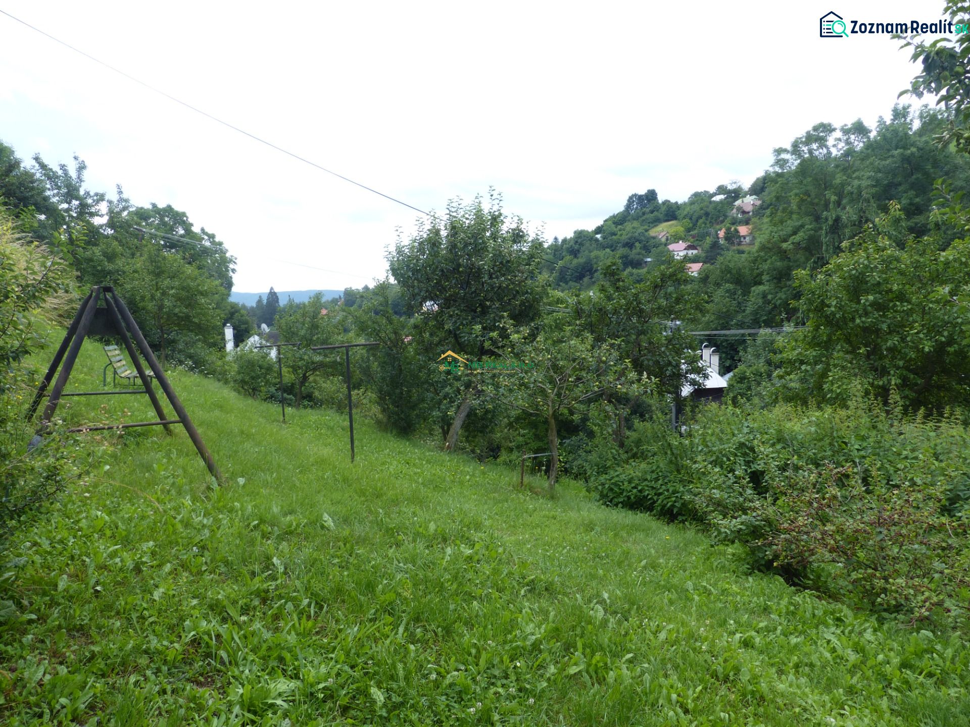 Fotografia 12