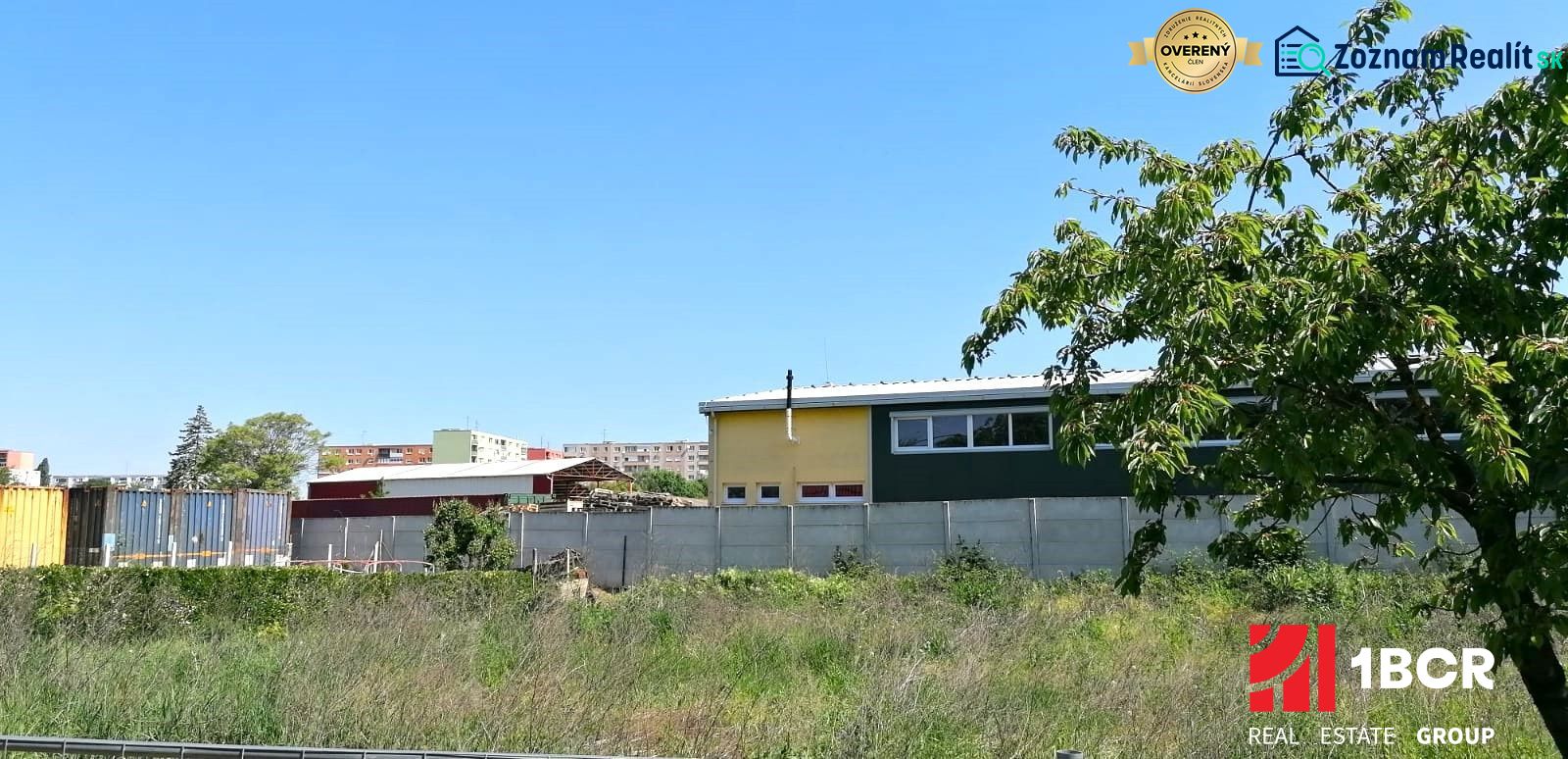 Fotografia 6