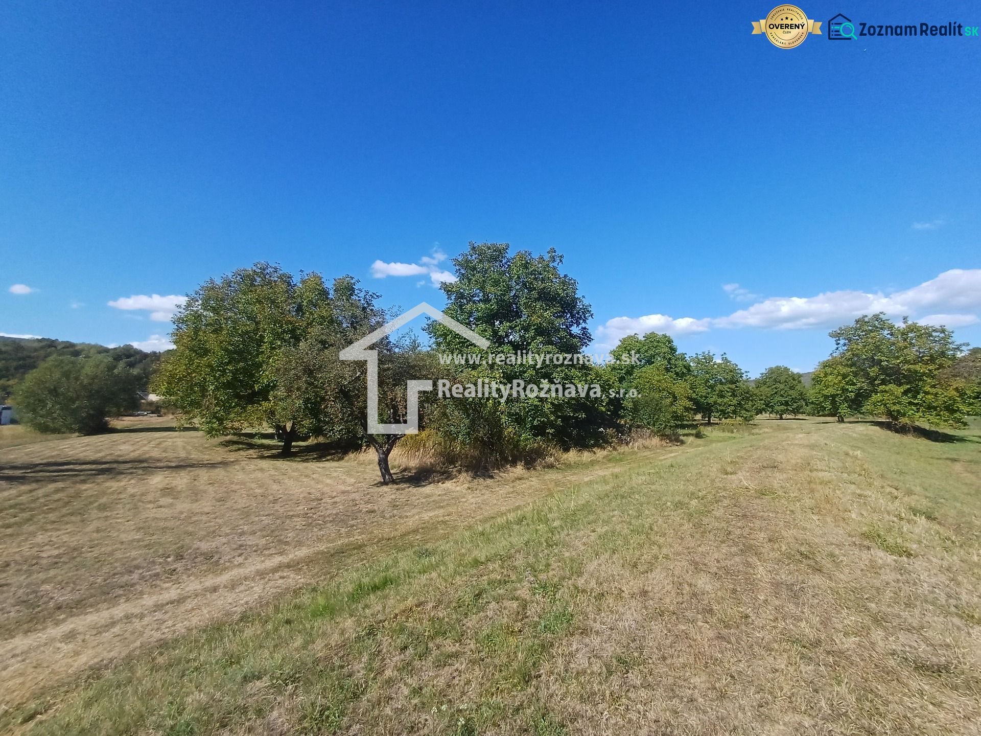 Fotografia 11