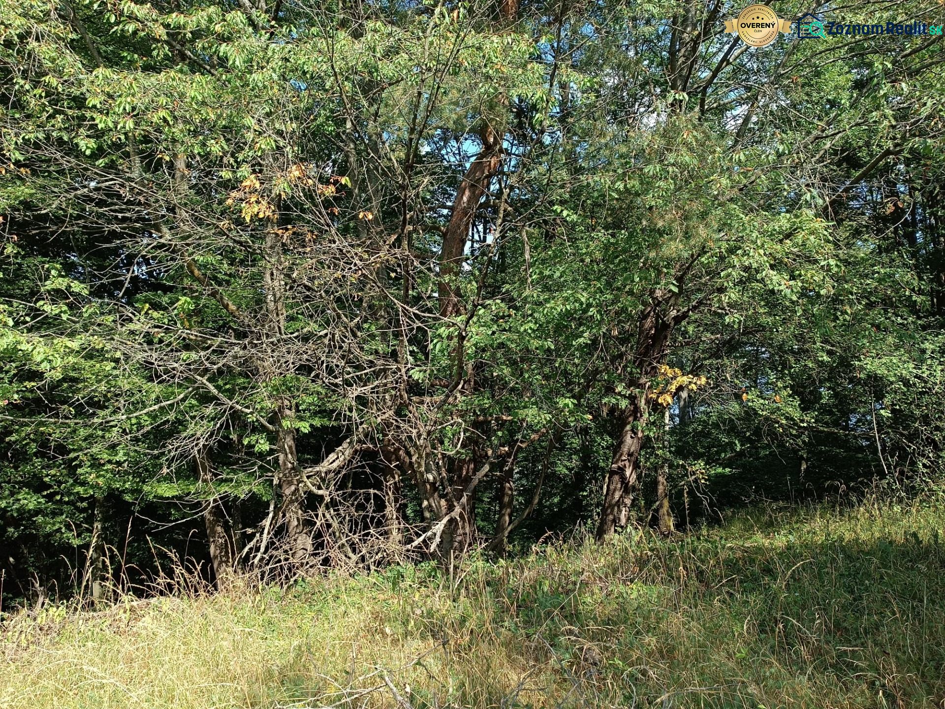 Fotografia 5