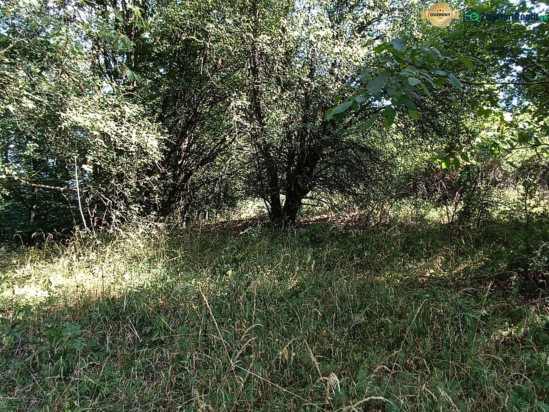 Fotografia 7