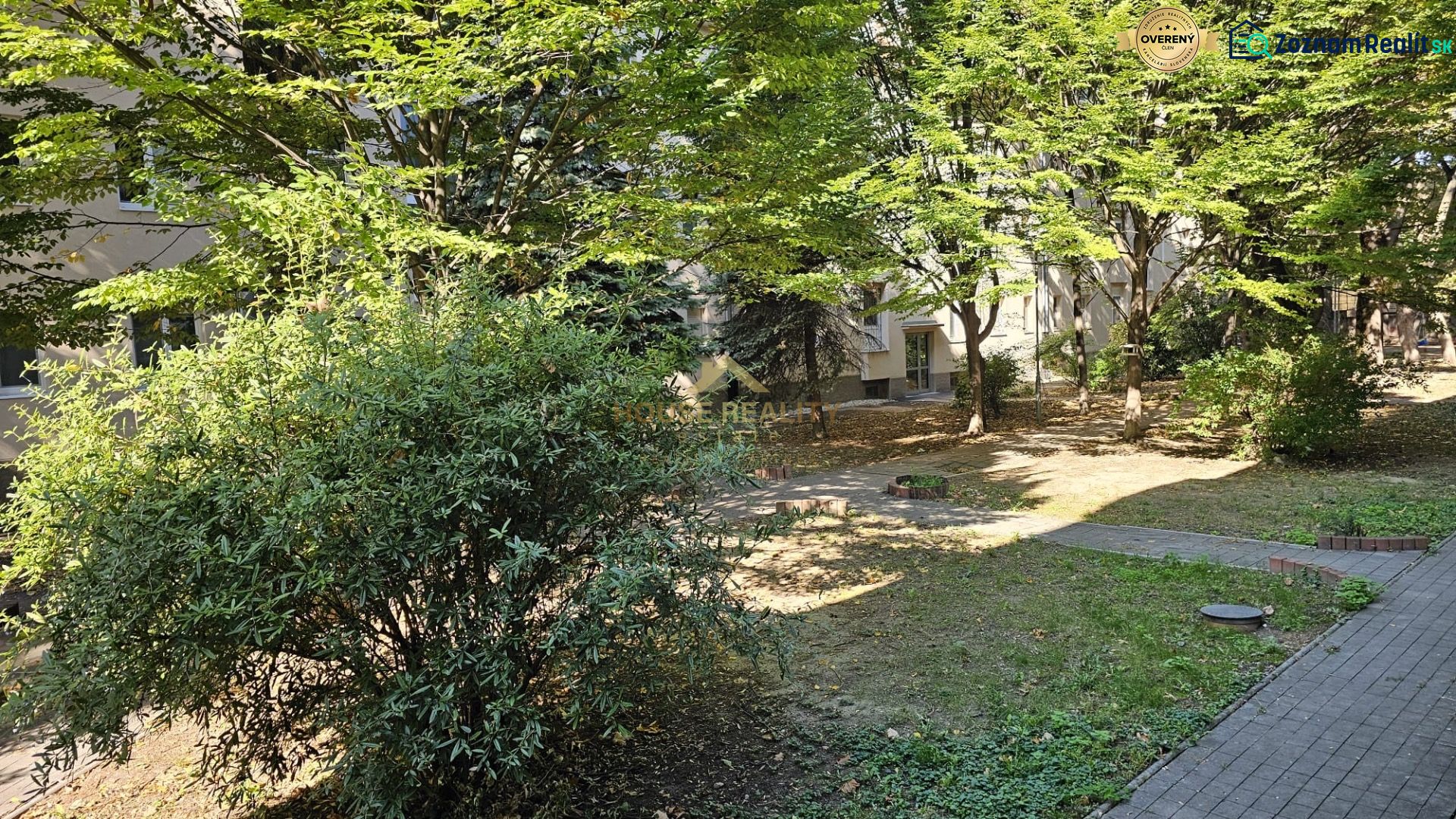 Fotografia 13