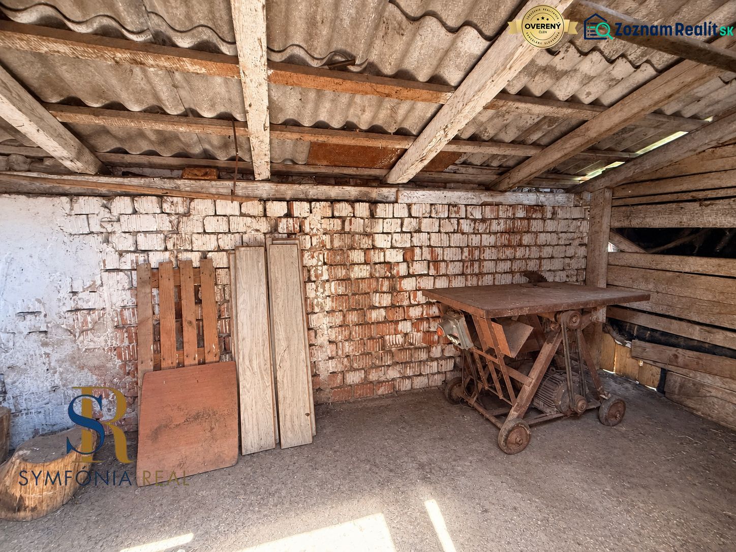 Fotografia 12