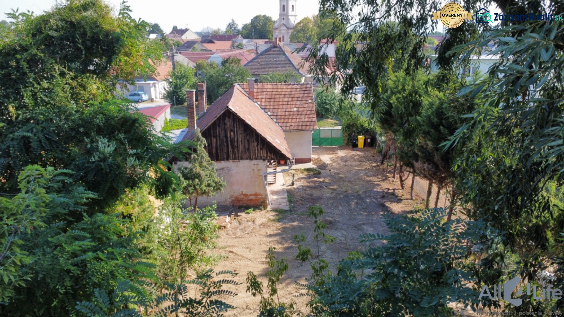 Fotografia 9