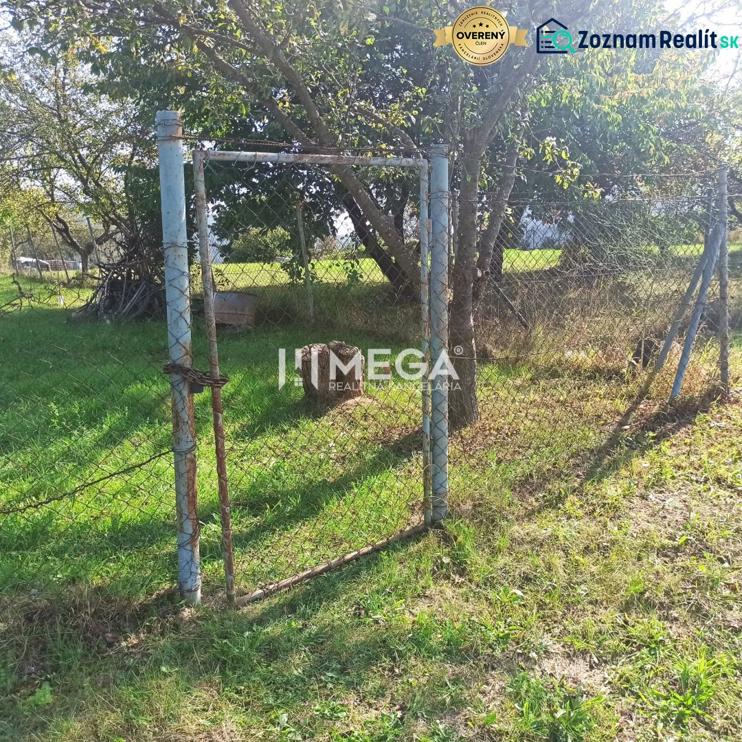 Fotografia 7