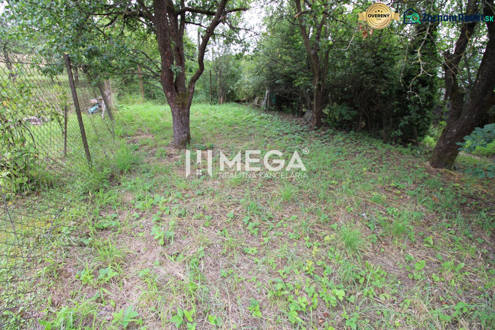 Fotografia 7