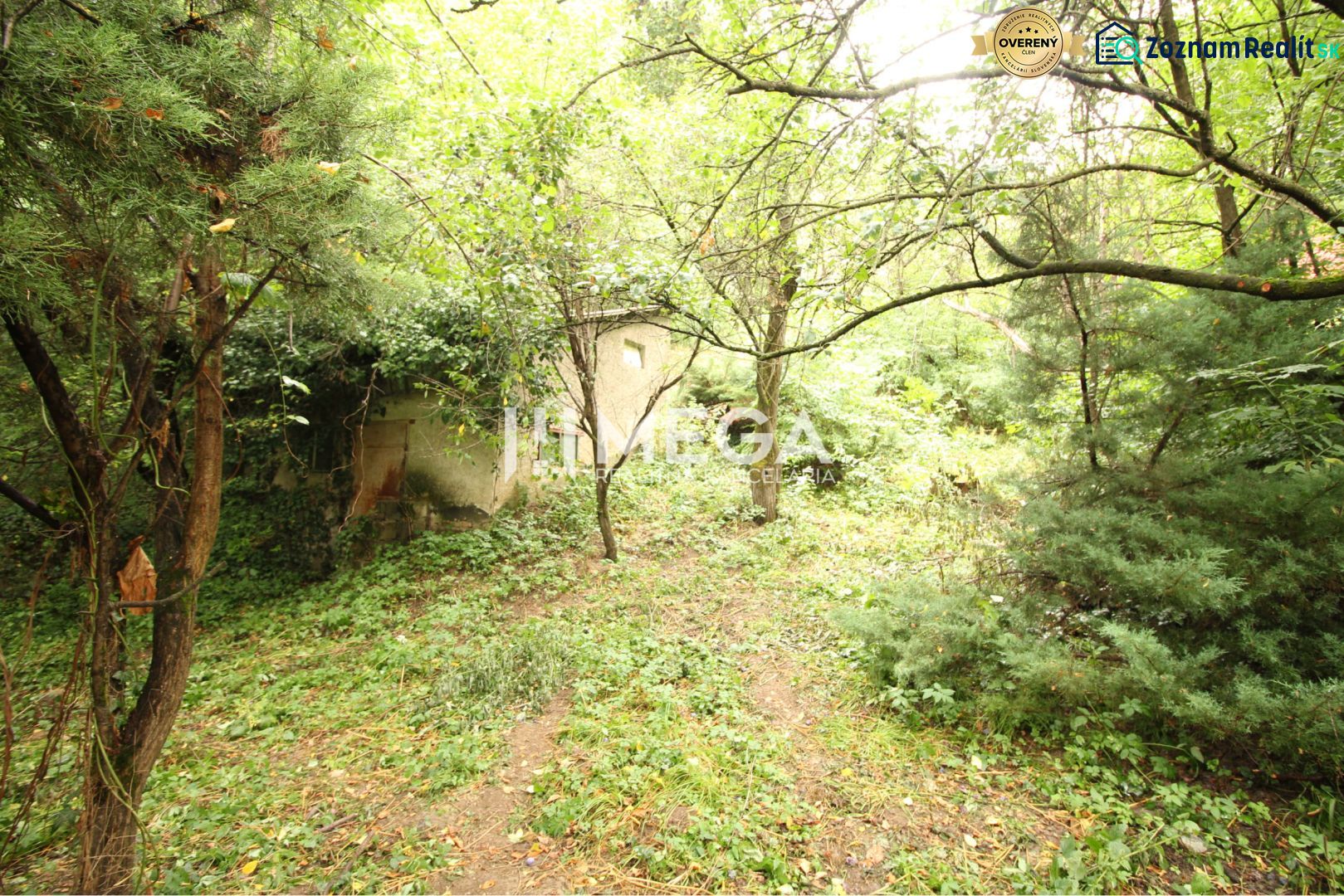 Fotografia 5