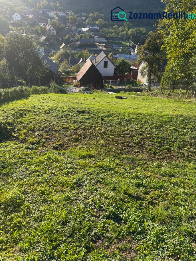 Fotografia 3