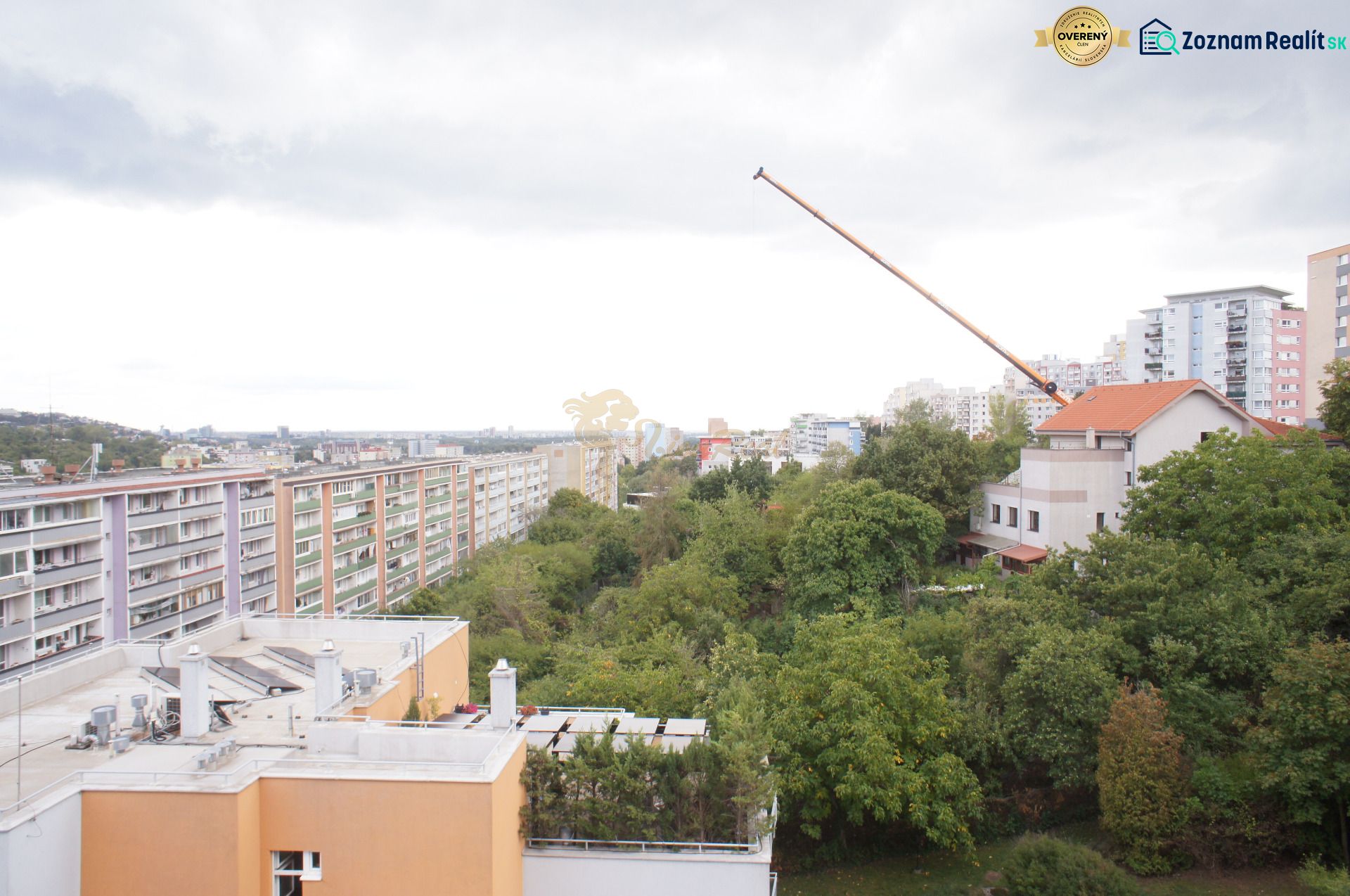 Fotografia 5