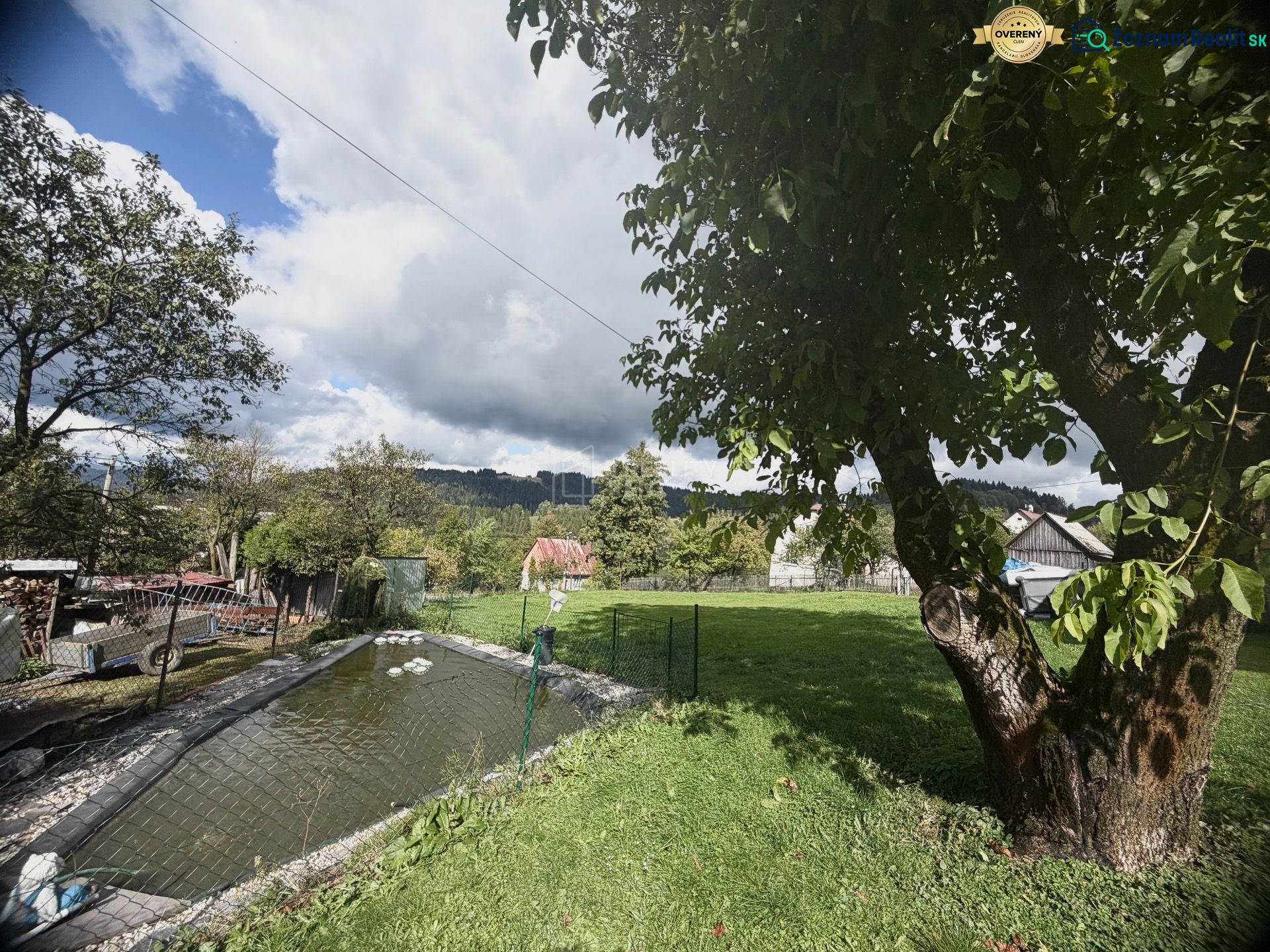 Fotografia 3