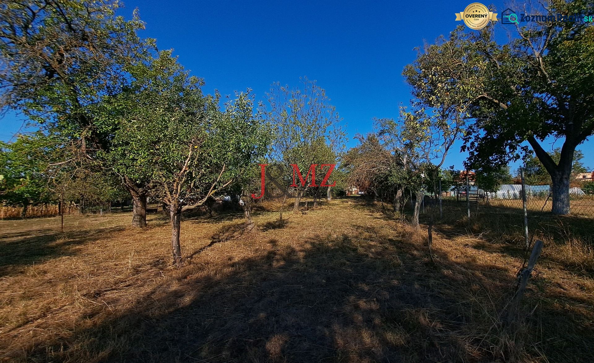 Fotografia 6