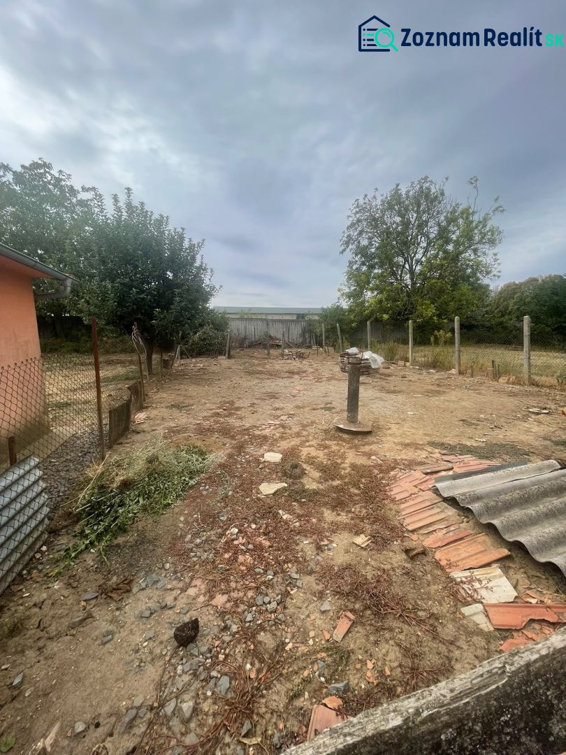 Fotografia 19