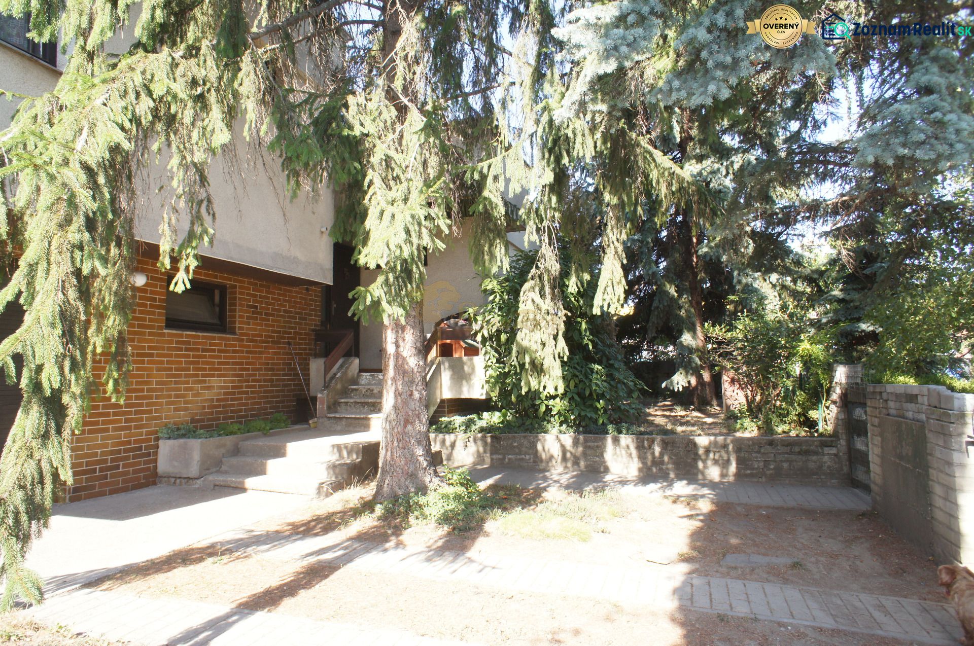 Fotografia 3