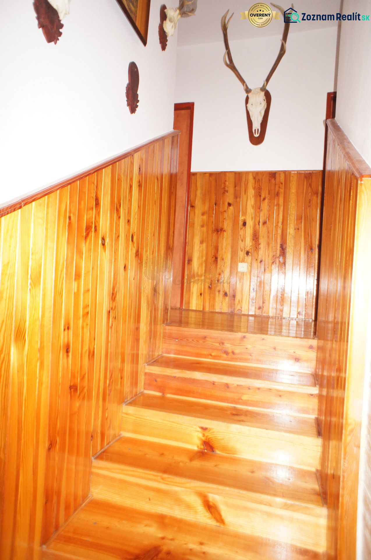 Fotografia 7