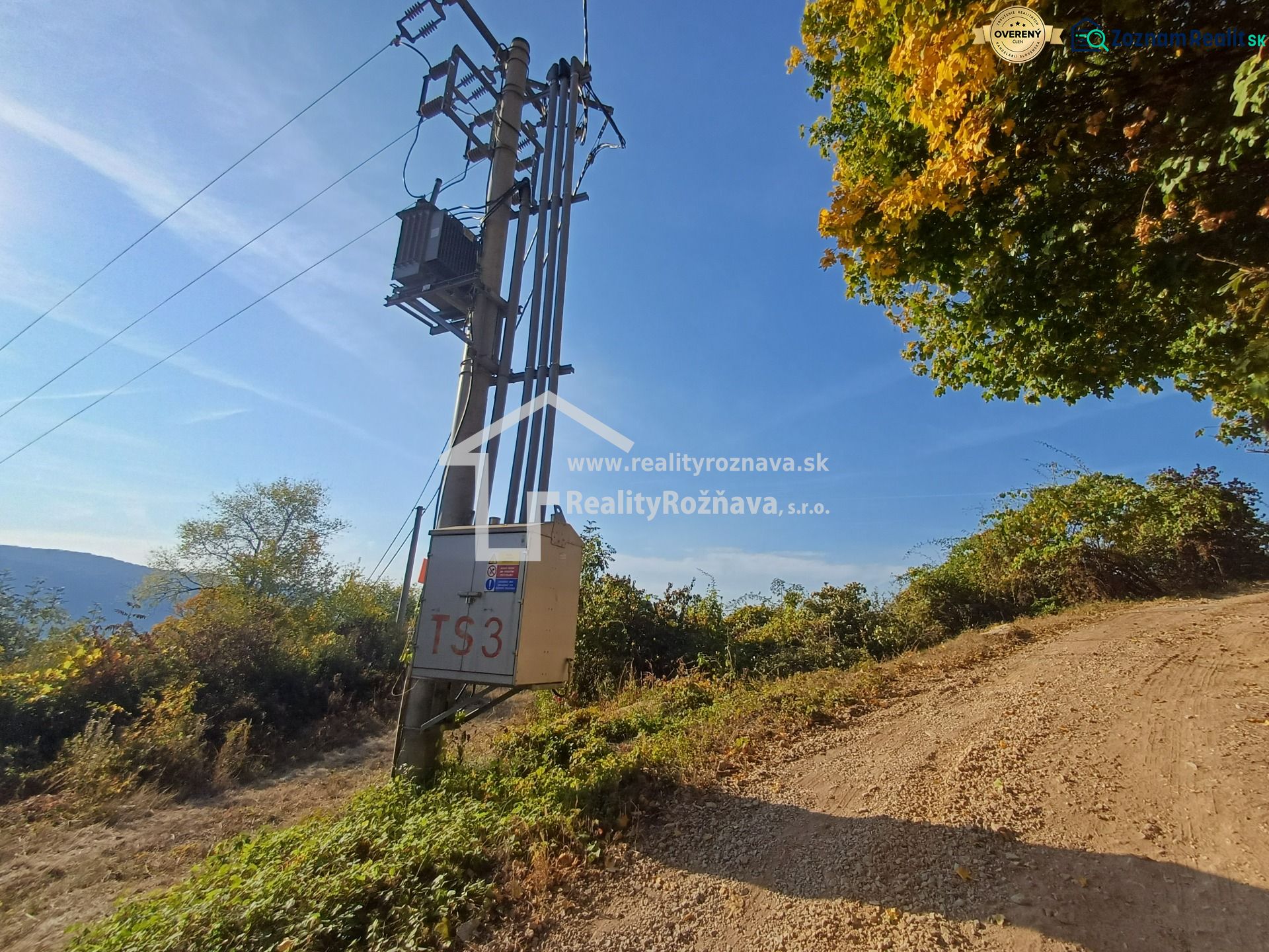 Fotografia 7