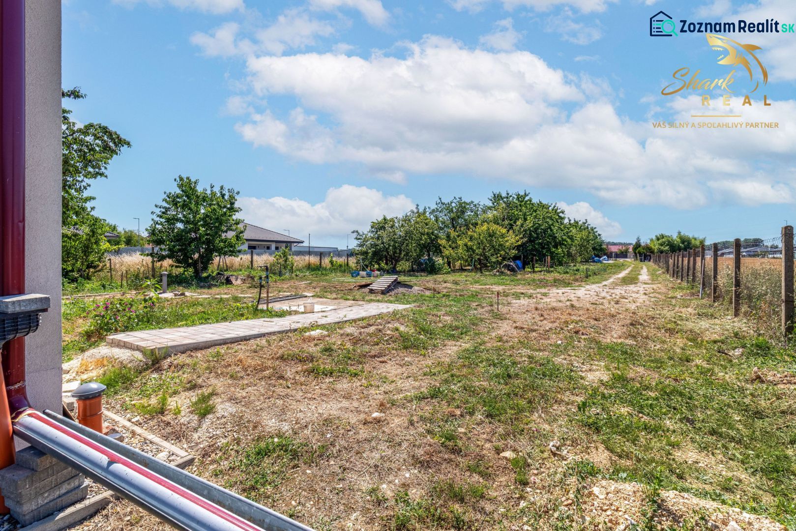 Fotografia 19