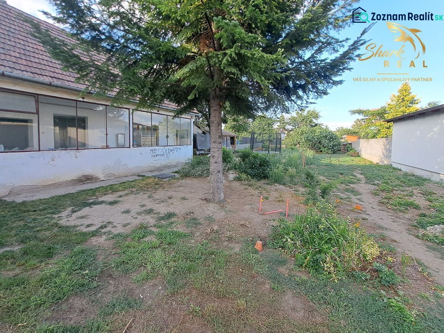 Fotografia 5